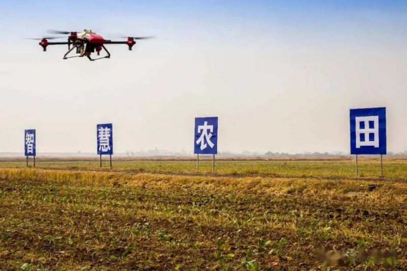 農業農村部：全力推進高標準農田建設，實施智慧農業