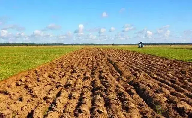 安徽打造高標準農田&ldquo;升級版&rdquo;