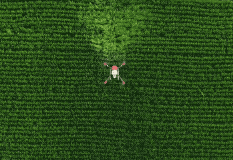 夏季暴雨對農業生產的影響及減災措施