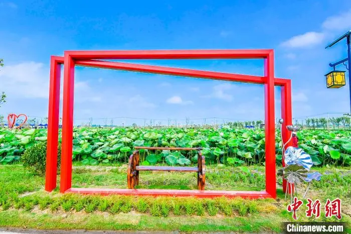 肥西：以&ldquo;荷&rdquo;為媒 打造鄉村生態旅游產業