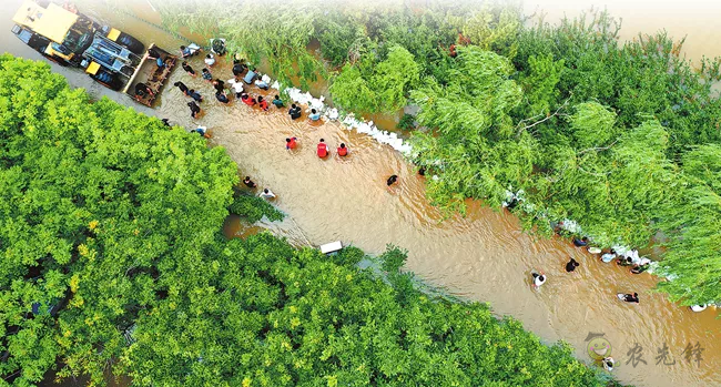 【觀點】建好農村應急防御機制，才能與極端天氣短兵相接