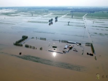 1450萬畝農作物受災！550萬畝絕收！對我國糧食市場影響有多大？