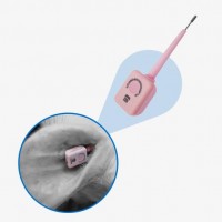 電子醫生 豬的私人醫生，24小時不間斷關愛