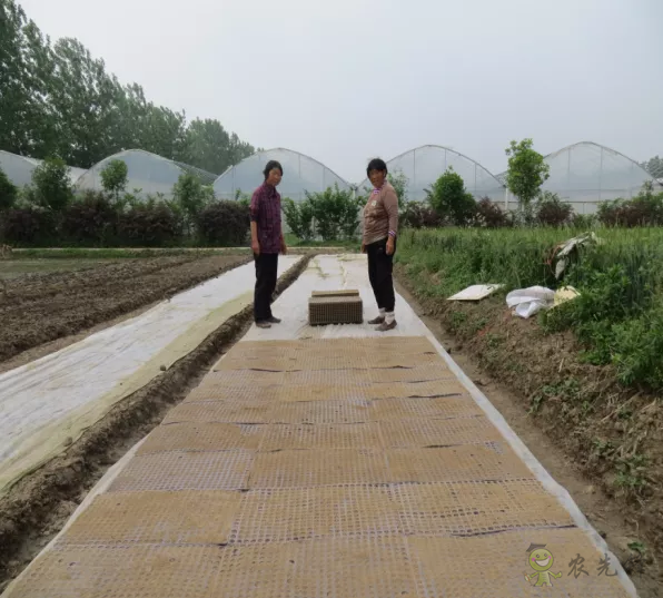 2021年農業農村部重大引領性技術發布！