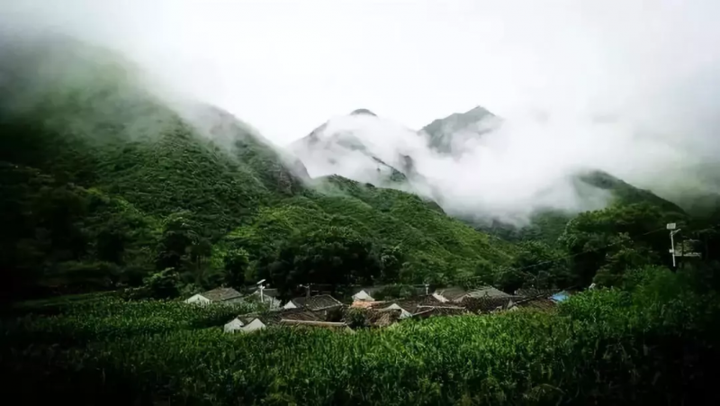 當代中國農業轉型技術選擇之爭:化學化？轉基因？