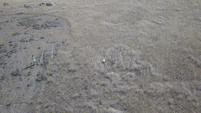 中國農業科技，極飛科技如何助力解決澳大利亞農業危機？