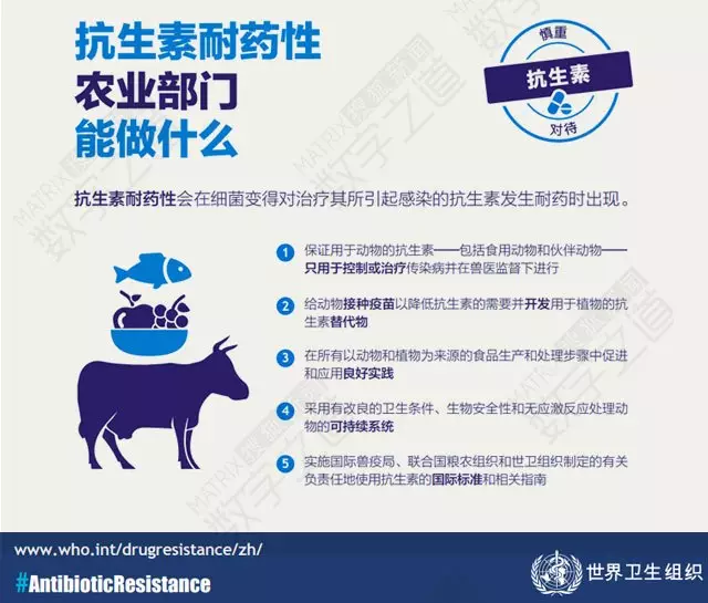&ldquo;抗生素肉&rdquo;擺滿中國人餐桌，豬肉含量居然是牛肉的5倍!