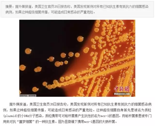 &ldquo;抗生素肉&rdquo;擺滿中國人餐桌，豬肉含量居然是牛肉的5倍!