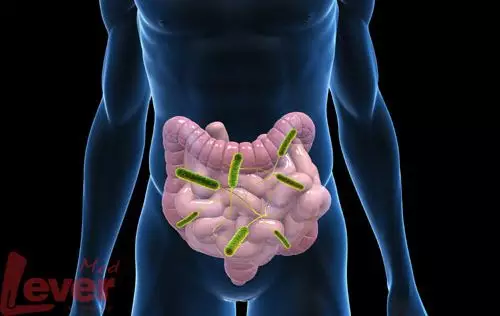 &ldquo;抗生素肉&rdquo;擺滿中國人餐桌，豬肉含量居然是牛肉的5倍!