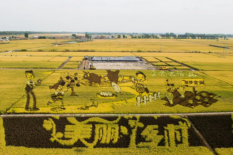習近平：堅持農業農村優先發展，加快農業農村現代化