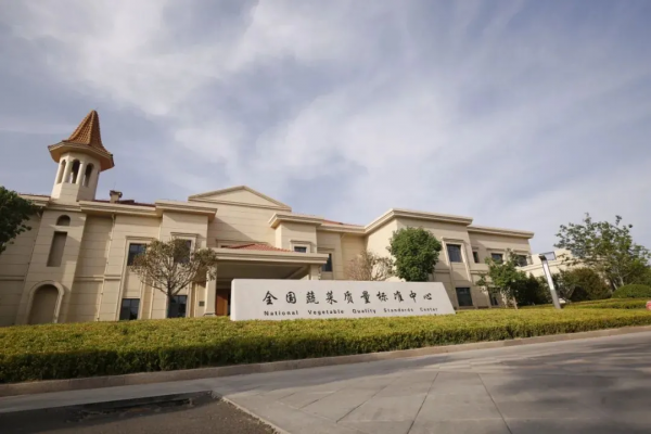 人均年收入40萬+，壽光蔬菜成功秘訣到底是什么