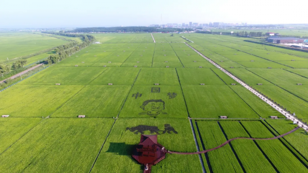 趙春江院士：解決農村勞動力短缺，北京可發展無人化農場