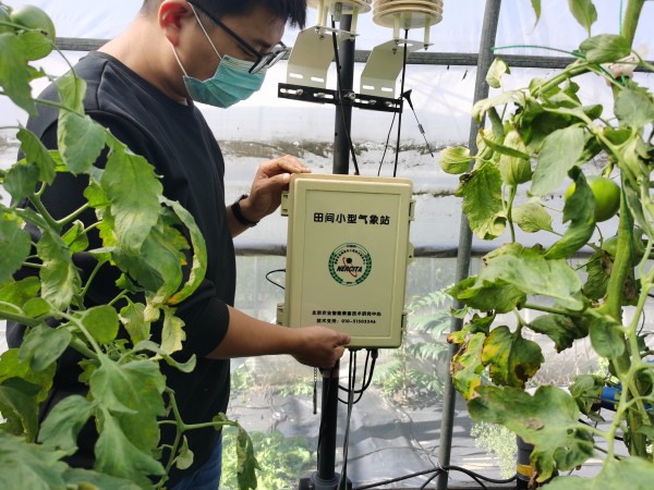 塑料大棚&ldquo;智能化&rdquo;，北京開展高效設施農業用地試點