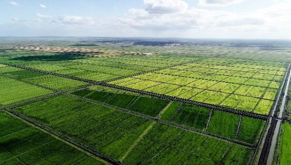 &ldquo;中國農技&rdquo;&ldquo;中國農機&rdquo;&ldquo;中國農場&rdquo;助力非洲農業發展