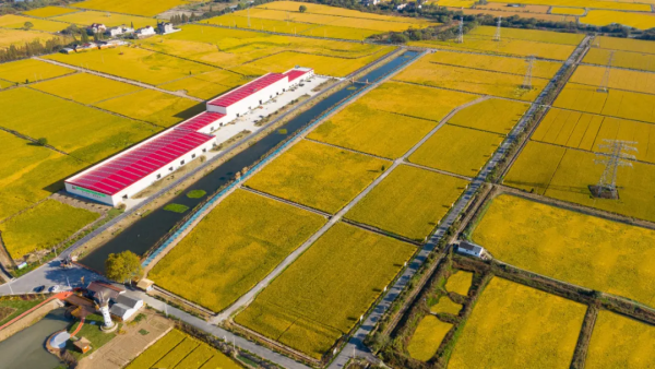 &ldquo;星光農業模式&rdquo;打造湖州科技強農樣本