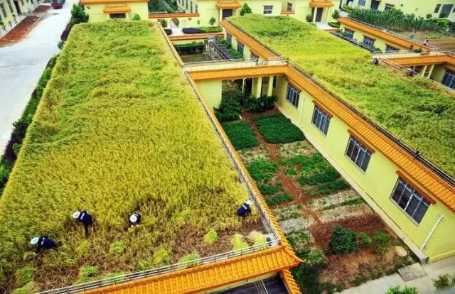 做農業，這幾種高效生態農業模式你必須知道