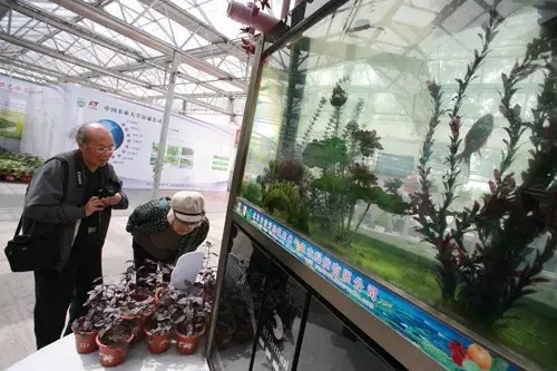 做農業，這幾種高效生態農業模式你必須知道