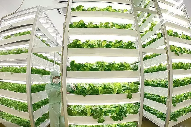 做農業，這幾種高效生態農業模式你必須知道