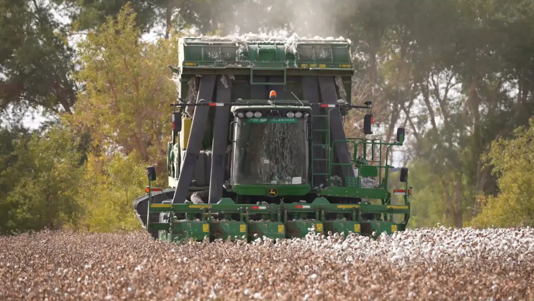 種棉&ldquo;游戲&rdquo;&mdash;&mdash;新疆尉犁縣&ldquo;90后&rdquo;的無人農場印象