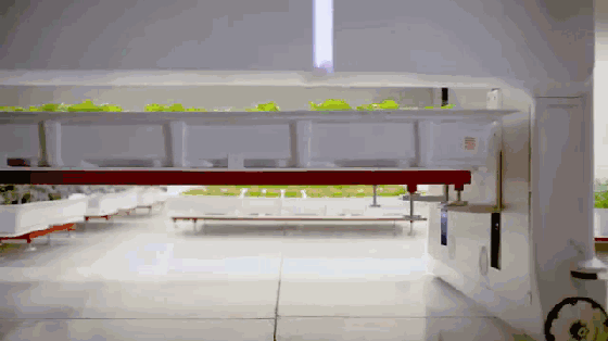 美國研發智慧農場，未來蔬菜將由機器人種植