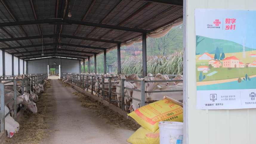 聯通5G破譯鄉村振興&ldquo;密碼&rdquo;助力&ldquo;智慧農業&rdquo;生根結果