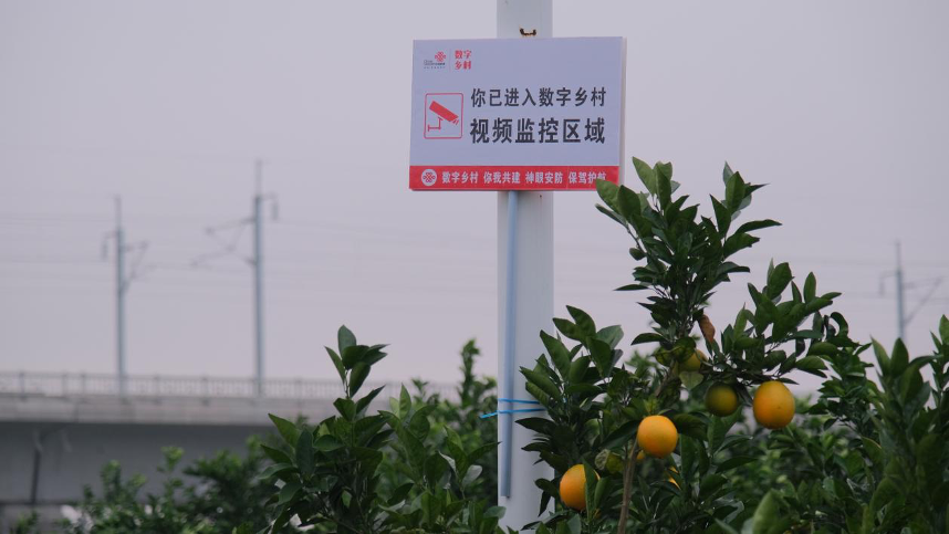 聯通5G破譯鄉村振興&ldquo;密碼&rdquo;助力&ldquo;智慧農業&rdquo;生根結果