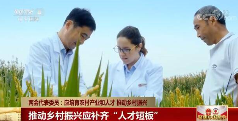 鄉村振興缺人才，加強推進人才走進鄉村