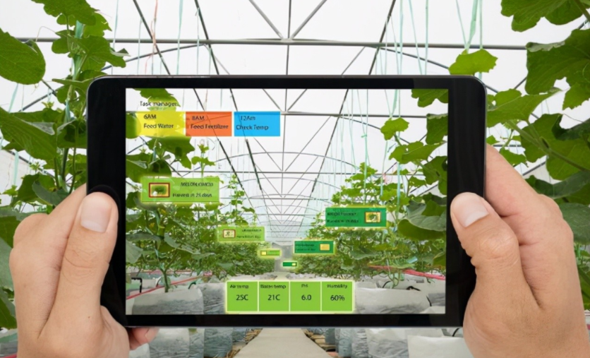 農業物聯網是什么？對農業的好處到底在哪里？