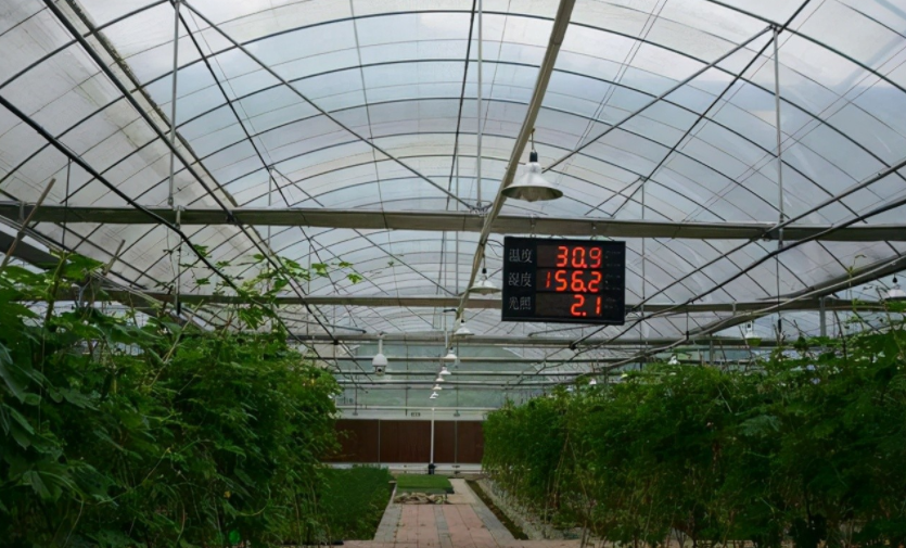 農業物聯網是什么？對農業的好處到底在哪里？