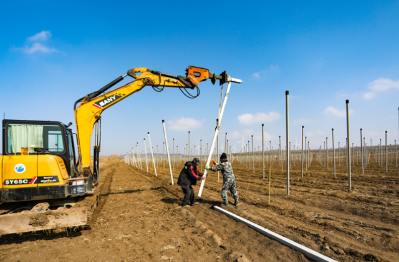 臨港區：智慧農業不簡單，&ldquo;玩手機&rdquo;就能種好地