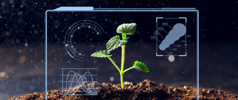 農業物聯網的作用？農業物聯網都應用在哪？