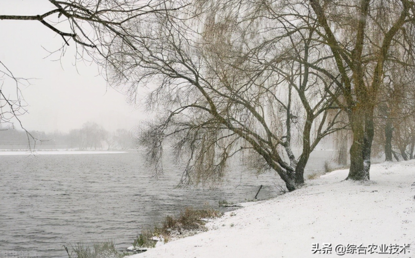 玉米地病蟲害越來越重，冬季閑了有辦法預防病蟲害嗎？