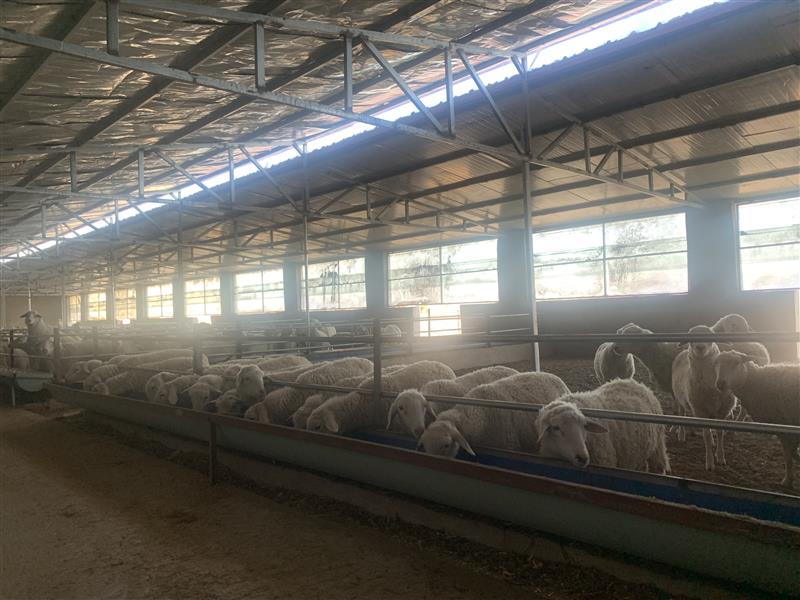 &ldquo;抱團&rdquo;謀發展 合作社&ldquo;錢&rdquo;途無量