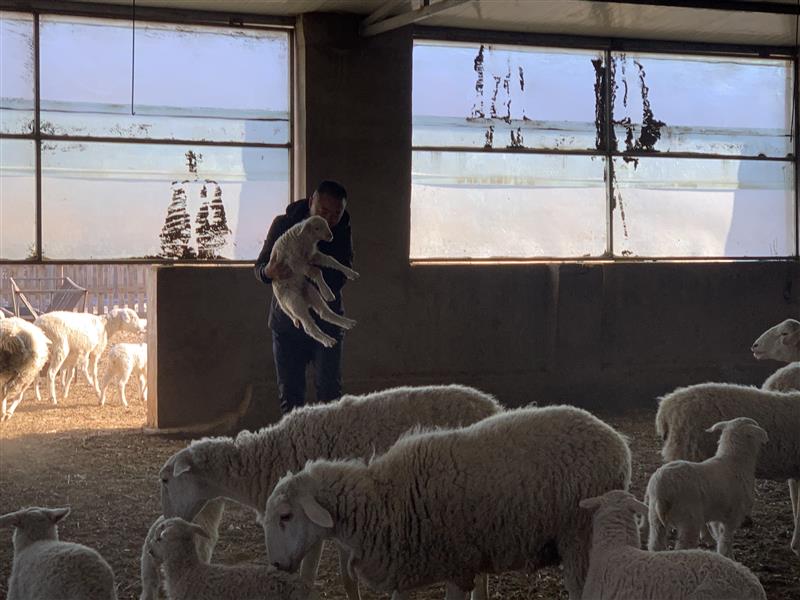 &ldquo;抱團&rdquo;謀發展 合作社&ldquo;錢&rdquo;途無量