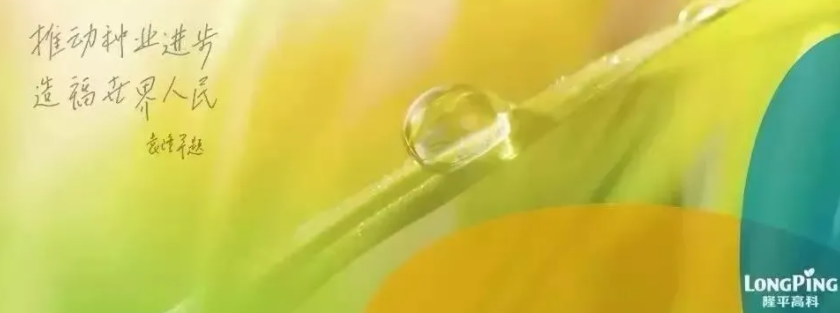農民日報 | 中信農業著力構建&ldquo;產業＋科技＋金融&rdquo;綜合發展平臺&mdash;&mdash;精準布局國內外種業市場