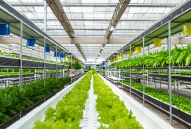 政策：國家支持設施農業合法用地；雨潤控股：負債超過1000億元