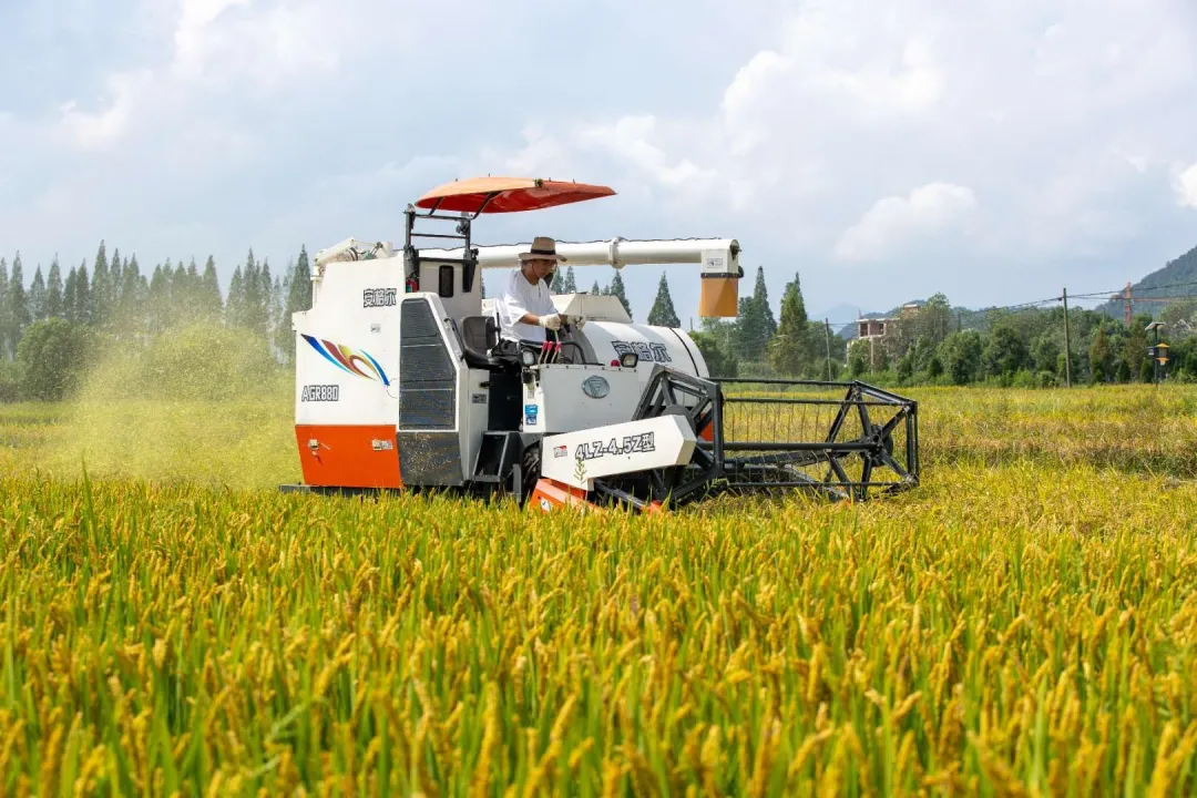 &ldquo;未來農場&rdquo;的德清實踐