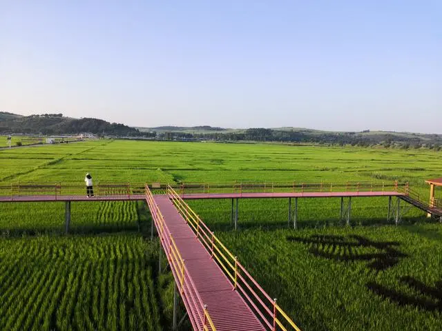 吉林省現代農業&ldquo;打開方式&rdquo;新觀察