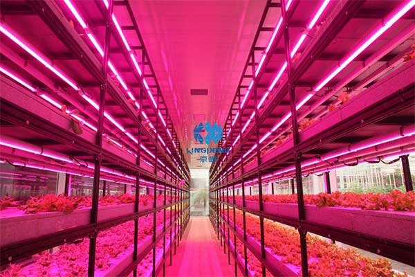 引領行業技術創新&ldquo;京鵬智造&rdquo;結碩果 &mdash;&mdash;專訪京鵬科技總工程師：周增產