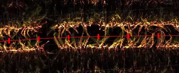 智慧農業的未來&mdash;&mdash;5款人工智能農業機器人