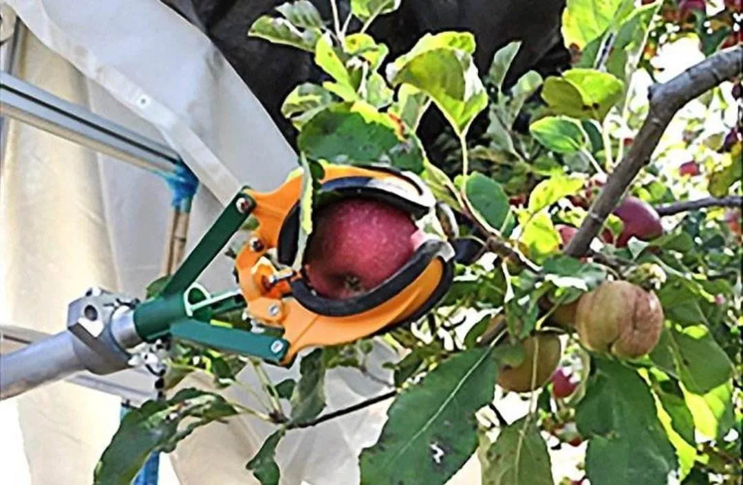 明確了！&ldquo;十四五&rdquo;重點研制這些農業機器人！