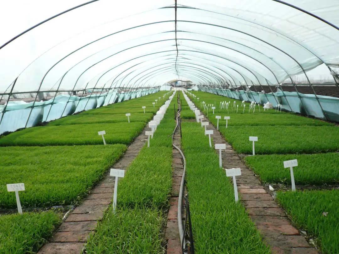 盤和林：&ldquo;十四五&rdquo;：鄉村建設進入數字驅動新階段