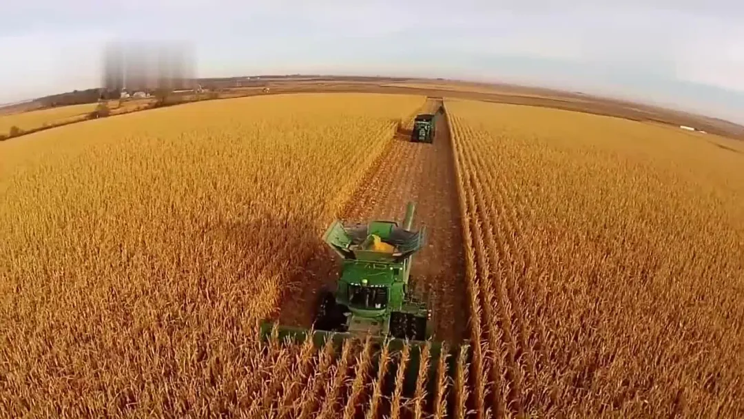 2021年糧食產量再創新高！機收減損功不可沒！
