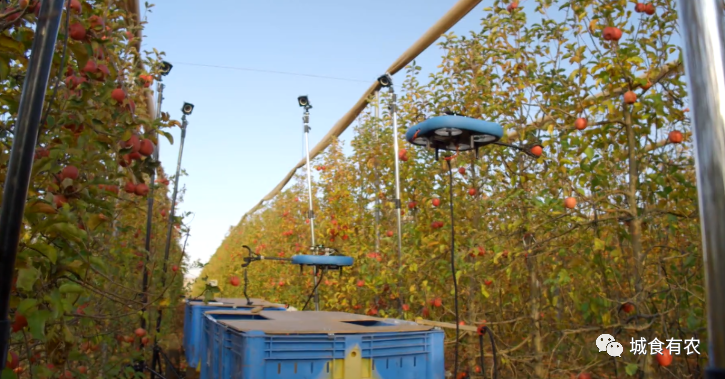 會摘蘋果的飛行機器人，從概念圖到商業化Tevel只用了4年