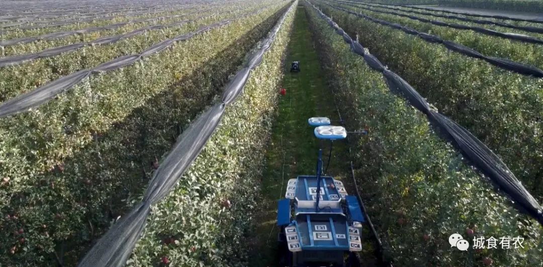 會摘蘋果的飛行機器人，從概念圖到商業化Tevel只用了4年
