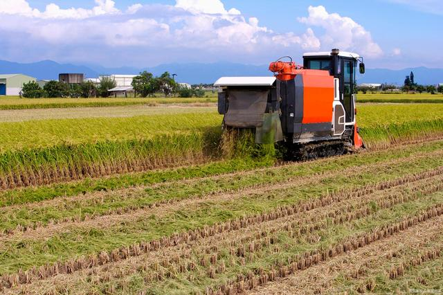溫鐵軍：中國農業4.0時代，家庭農場、小農戶仍然是發展的趨勢