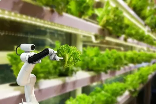 新加坡農業：5大創新玩法，中國農業值得借鑒