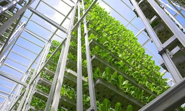 新加坡農業：5大創新玩法，中國農業值得借鑒