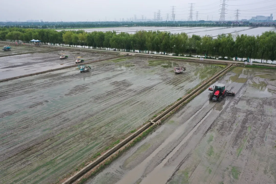水稻無人農場未來將走向何方？羅錫文院士團隊來滬指導無人農場建設