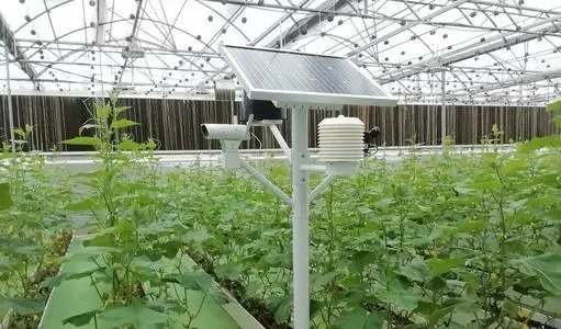 數字中國下一站：數字鄉村 ！